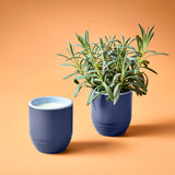 Lanvender Garden Vibes Candle/Planter 2-in-1
