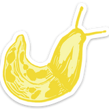 Banana Slug - Vinyl Sticker