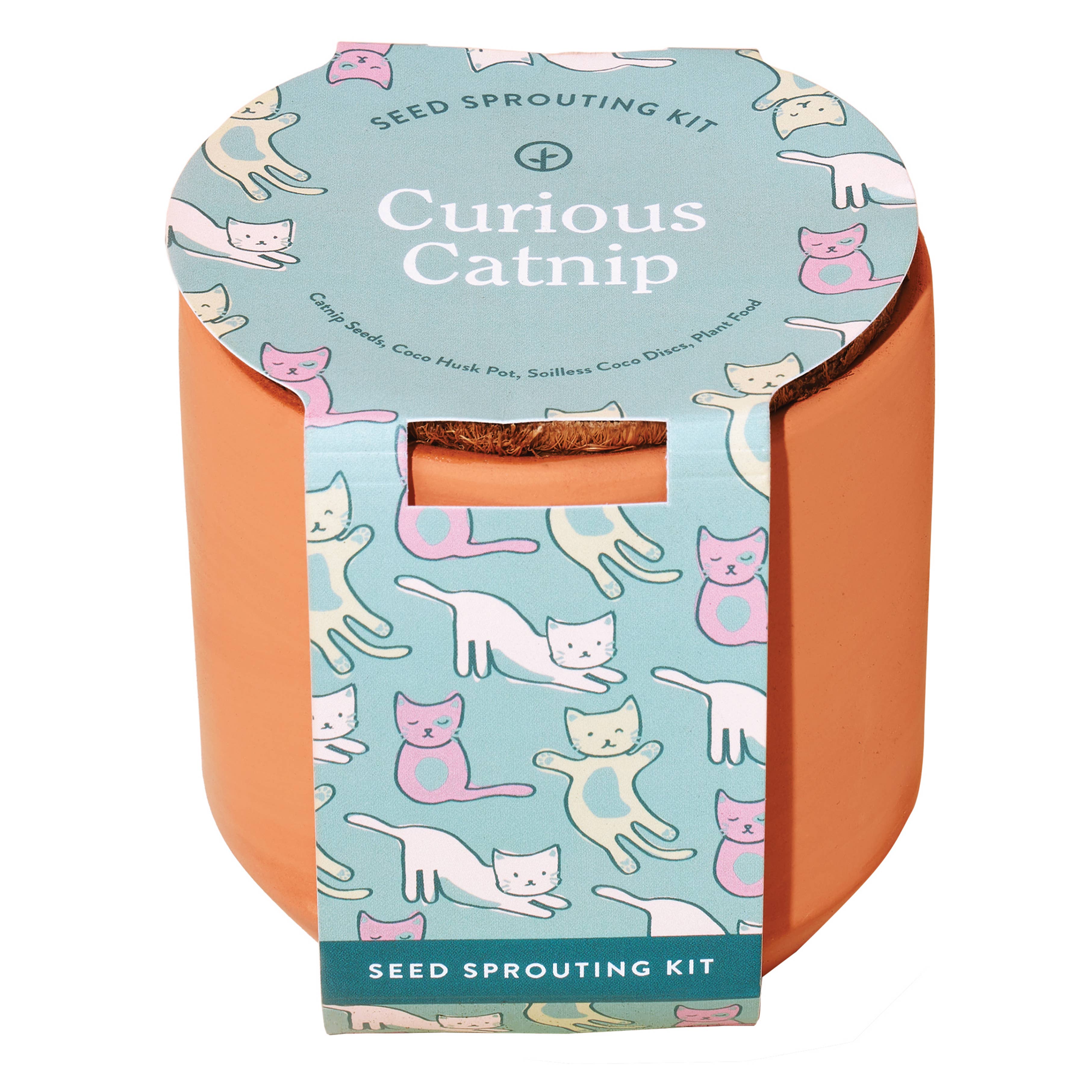 Tiny Terracotta Pet Plant Grow Kits
