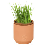 Tiny Terracotta Pet Plant Grow Kits