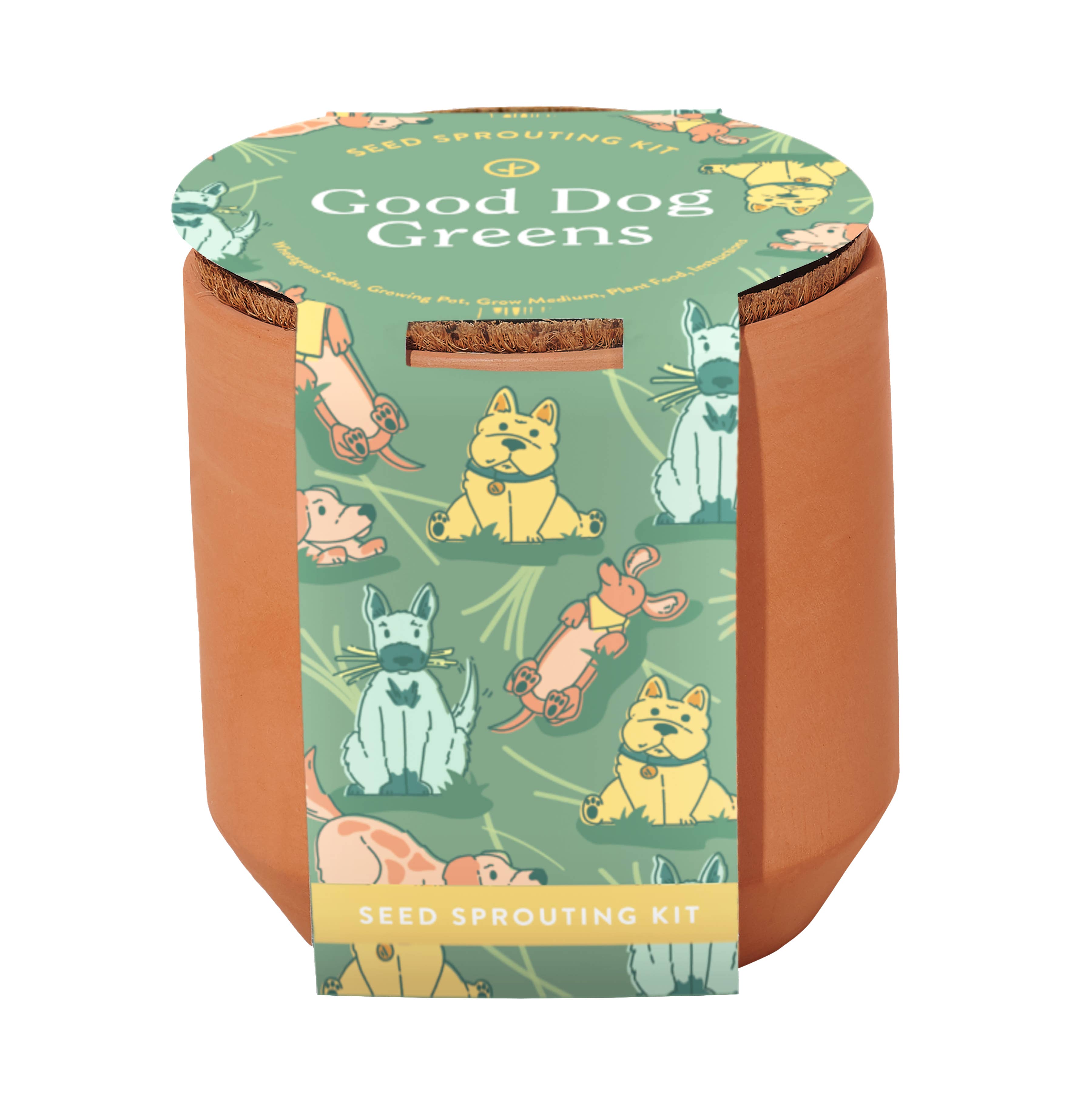 Tiny Terracotta Pet Plant Grow Kits