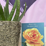 Dad's Drool Mother's Day Cards