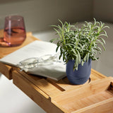 Lanvender Garden Vibes Candle/Planter 2-in-1