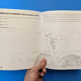 Queer Animals Coloring Book (Zine)