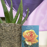 Dad's Drool Mother's Day Cards