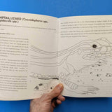 Queer Animals Coloring Book (Zine)
