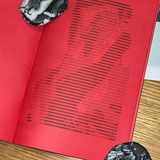 X-Rated: ASC-II Art • Risograph Printed Zine