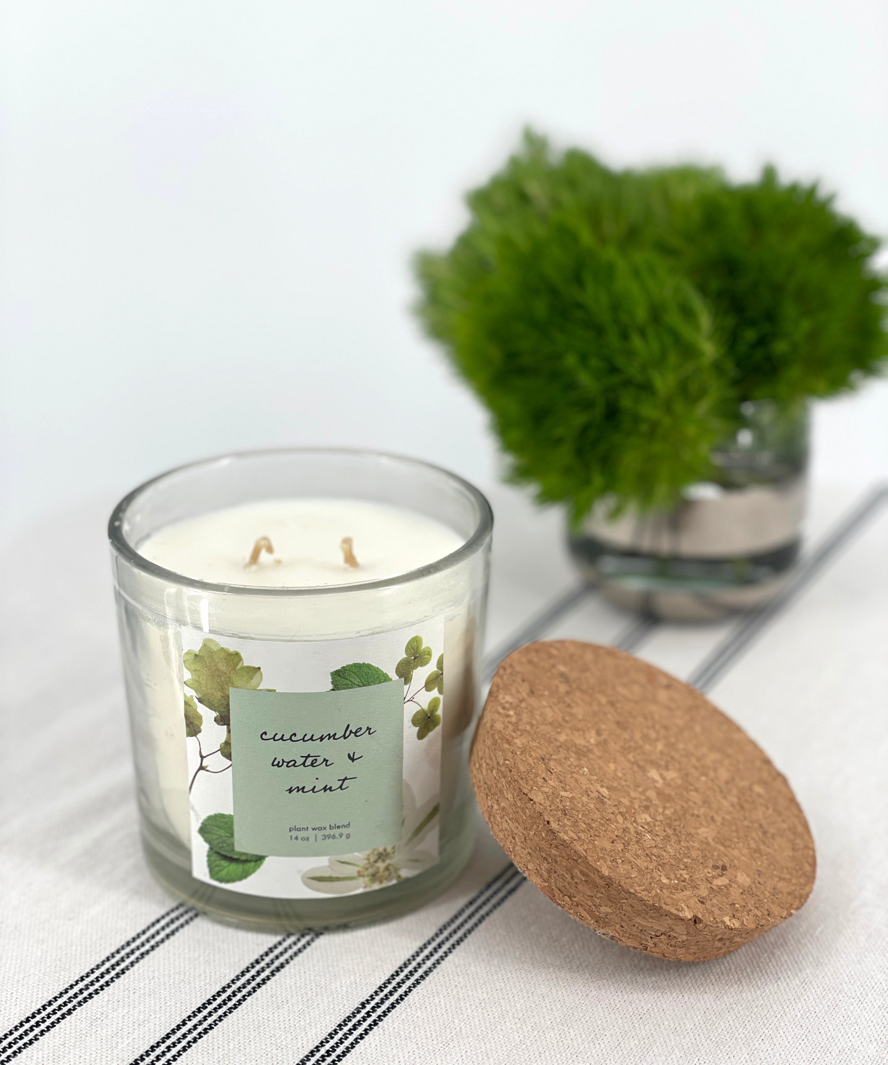 Candle with a label and a cork lid on a white surface with a plant in the background