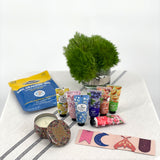 Mini Self-Care Kit