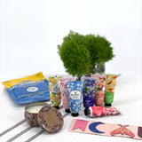 Mini Self-Care Kit