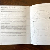 Queer Animals Coloring Book (Zine)