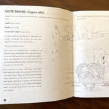 Queer Animals Coloring Book (Zine)