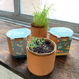 Tiny Terracotta Pet Plant Grow Kits