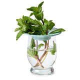 Fresh Herb Keepers - Set of 2