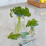 Fresh Herb Keepers - Set of 2