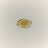 Equilibrium Balancing Botanical Toner