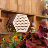 Beetle & Bee Solitary Bee Habitat